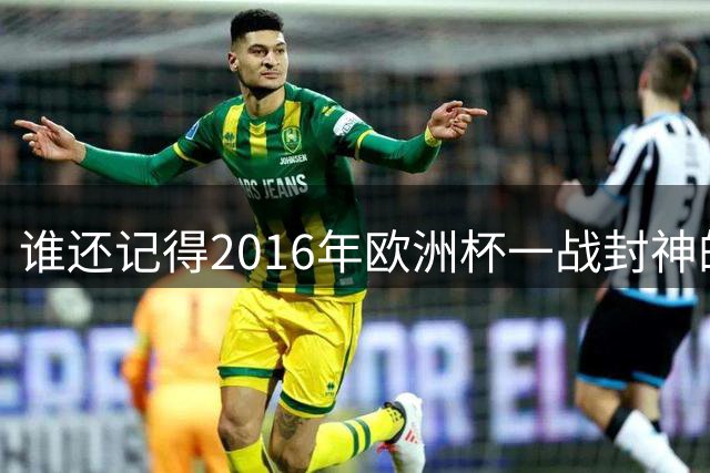 谁还记得2016年欧洲杯一战封神的雷纳托・桑谢斯？